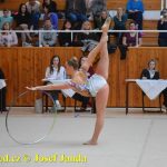 Druhý díl Jihočeské ligy v moderní gymnastice uspořádal GSK Tábor