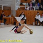 Druhý díl Jihočeské ligy v moderní gymnastice uspořádal GSK Tábor