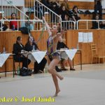 Druhý díl Jihočeské ligy v moderní gymnastice uspořádal GSK Tábor