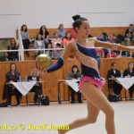 Druhý díl Jihočeské ligy v moderní gymnastice uspořádal GSK Tábor