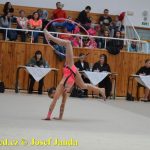 Druhý díl Jihočeské ligy v moderní gymnastice uspořádal GSK Tábor