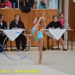 Druhý díl Jihočeské ligy v moderní gymnastice uspořádal GSK Tábor
