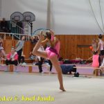 Druhý díl Jihočeské ligy v moderní gymnastice uspořádal GSK Tábor