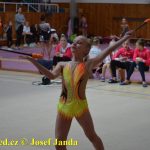 Druhý díl Jihočeské ligy v moderní gymnastice uspořádal GSK Tábor