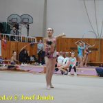 Druhý díl Jihočeské ligy v moderní gymnastice uspořádal GSK Tábor