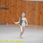 Druhý díl Jihočeské ligy v moderní gymnastice uspořádal GSK Tábor