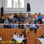 Druhý díl Jihočeské ligy v moderní gymnastice uspořádal GSK Tábor