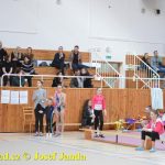 Druhý díl Jihočeské ligy v moderní gymnastice uspořádal GSK Tábor