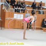 Druhý díl Jihočeské ligy v moderní gymnastice uspořádal GSK Tábor