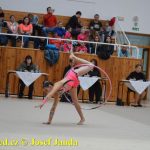 Druhý díl Jihočeské ligy v moderní gymnastice uspořádal GSK Tábor