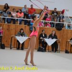 Druhý díl Jihočeské ligy v moderní gymnastice uspořádal GSK Tábor