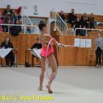 Druhý díl Jihočeské ligy v moderní gymnastice uspořádal GSK Tábor