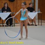 Druhý díl Jihočeské ligy v moderní gymnastice uspořádal GSK Tábor