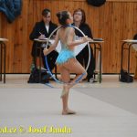 Druhý díl Jihočeské ligy v moderní gymnastice uspořádal GSK Tábor