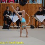 Druhý díl Jihočeské ligy v moderní gymnastice uspořádal GSK Tábor