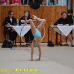 Druhý díl Jihočeské ligy v moderní gymnastice uspořádal GSK Tábor