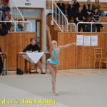 Druhý díl Jihočeské ligy v moderní gymnastice uspořádal GSK Tábor