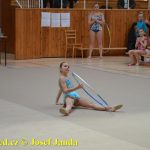 Druhý díl Jihočeské ligy v moderní gymnastice uspořádal GSK Tábor