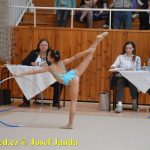 Druhý díl Jihočeské ligy v moderní gymnastice uspořádal GSK Tábor