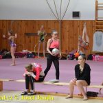 Druhý díl Jihočeské ligy v moderní gymnastice uspořádal GSK Tábor