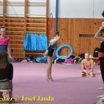 Druhý díl Jihočeské ligy v moderní gymnastice uspořádal GSK Tábor