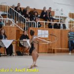 Druhý díl Jihočeské ligy v moderní gymnastice uspořádal GSK Tábor