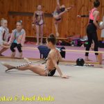 Druhý díl Jihočeské ligy v moderní gymnastice uspořádal GSK Tábor