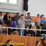 Druhý díl Jihočeské ligy v moderní gymnastice uspořádal GSK Tábor