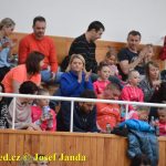 Druhý díl Jihočeské ligy v moderní gymnastice uspořádal GSK Tábor