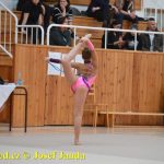 Druhý díl Jihočeské ligy v moderní gymnastice uspořádal GSK Tábor