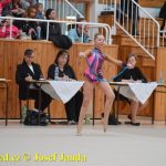Druhý díl Jihočeské ligy v moderní gymnastice uspořádal GSK Tábor