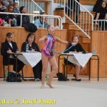 Druhý díl Jihočeské ligy v moderní gymnastice uspořádal GSK Tábor