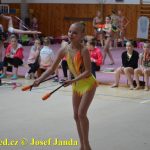 Druhý díl Jihočeské ligy v moderní gymnastice uspořádal GSK Tábor