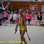 Druhý díl Jihočeské ligy v moderní gymnastice uspořádal GSK Tábor
