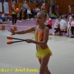 Druhý díl Jihočeské ligy v moderní gymnastice uspořádal GSK Tábor