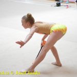 Druhý díl Jihočeské ligy v moderní gymnastice uspořádal GSK Tábor