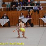 Druhý díl Jihočeské ligy v moderní gymnastice uspořádal GSK Tábor