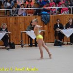 Druhý díl Jihočeské ligy v moderní gymnastice uspořádal GSK Tábor