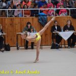 Druhý díl Jihočeské ligy v moderní gymnastice uspořádal GSK Tábor