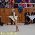 Druhý díl Jihočeské ligy v moderní gymnastice uspořádal GSK Tábor
