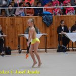 Druhý díl Jihočeské ligy v moderní gymnastice uspořádal GSK Tábor