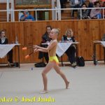 Druhý díl Jihočeské ligy v moderní gymnastice uspořádal GSK Tábor