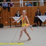 Druhý díl Jihočeské ligy v moderní gymnastice uspořádal GSK Tábor