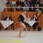 Druhý díl Jihočeské ligy v moderní gymnastice uspořádal GSK Tábor