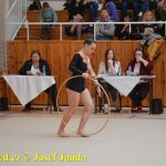 Druhý díl Jihočeské ligy v moderní gymnastice uspořádal GSK Tábor