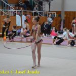 Druhý díl Jihočeské ligy v moderní gymnastice uspořádal GSK Tábor