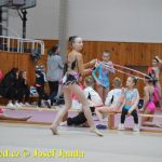 Druhý díl Jihočeské ligy v moderní gymnastice uspořádal GSK Tábor