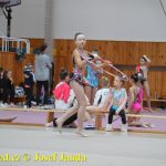 Druhý díl Jihočeské ligy v moderní gymnastice uspořádal GSK Tábor