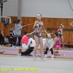 Druhý díl Jihočeské ligy v moderní gymnastice uspořádal GSK Tábor