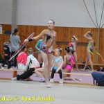 Druhý díl Jihočeské ligy v moderní gymnastice uspořádal GSK Tábor